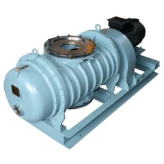 Вакуумный насос Everest EVB30