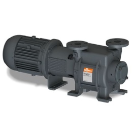 Водокольцевой вакуумный насос Busch Dolphin LM 0180 A