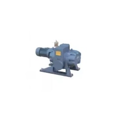 Вакуумный насос DEVELOPMENT VACUUM EQUIPMENT ZJP-300